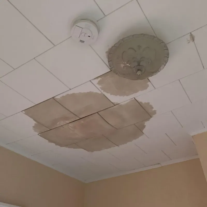 Ceiling Water Damage Repair in Flanders, NY