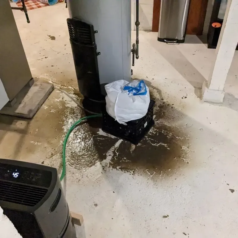 Sewage Backup Cleanup Service in Flanders, NY